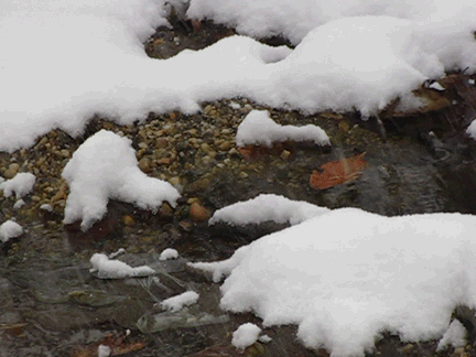 snowday-creek-40--frames-smaller.gif